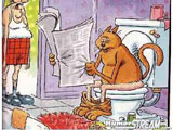I'm sorry we ever trained that cat to use the toilet